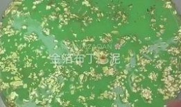 史莱姆爆料视频大全最新,揭秘热门事件幕后真相