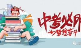 仙鱼最新爆料消息视频播放,最新爆料视频深度解析