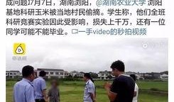 浏阳新闻爆料最新消息,重大事件引发社会关注