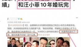 爆料汪小菲视频大全最新,揭秘豪门生活背后的真实瞬间